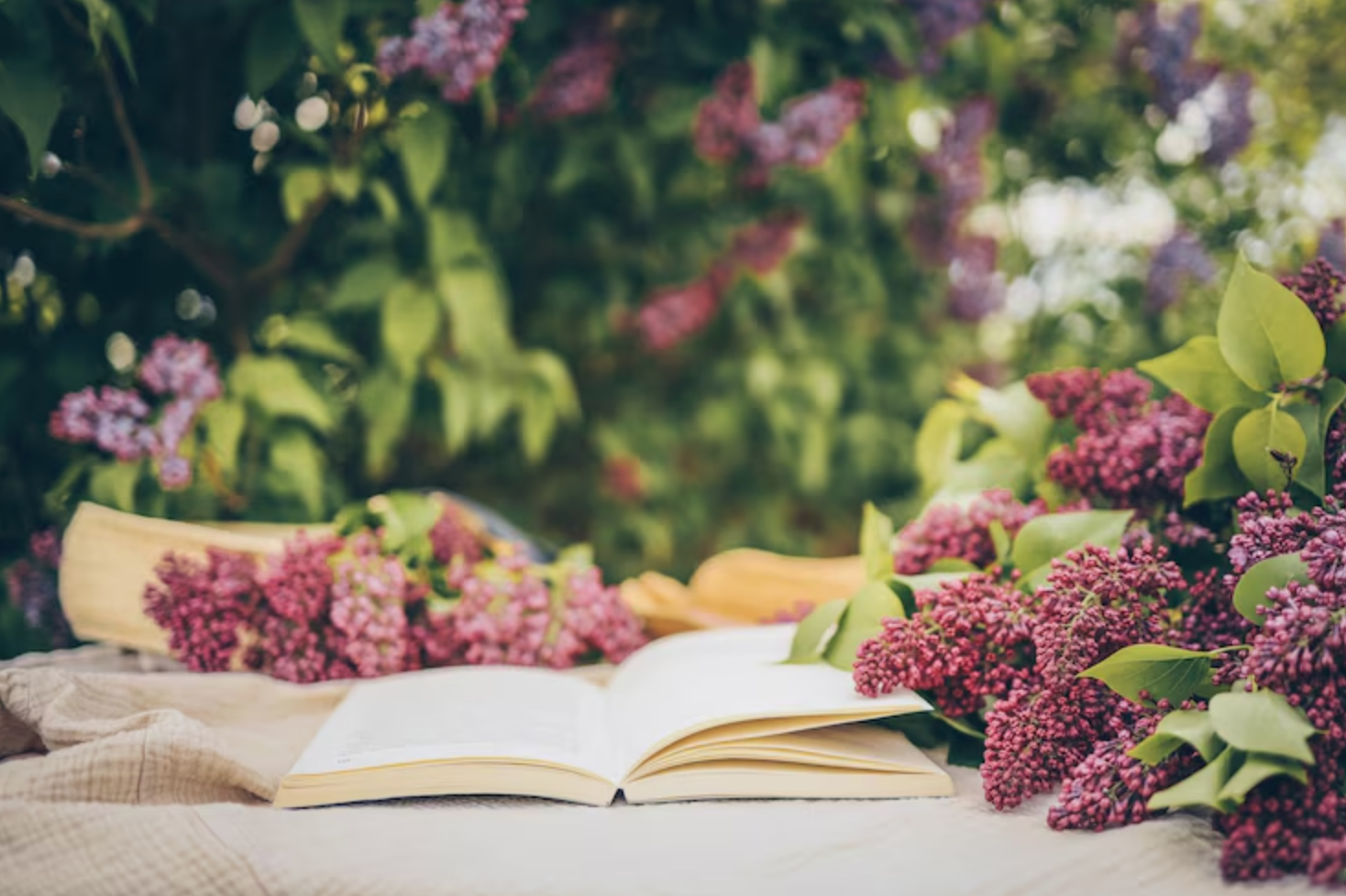 видавництво Фоліо